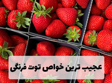 عجیب ترین خواص توت فرنگی