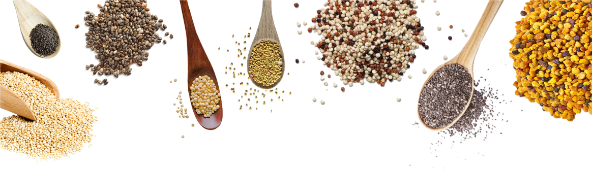 دانه چیا چیست