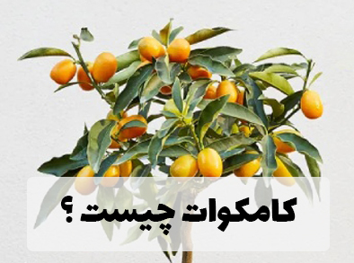 با کامکوات آشنا شوید!