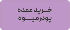 خرید عمده پودر میوه 