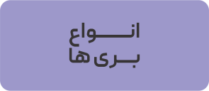 انواع بری ها