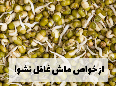 خواص بی نظیر جوانه ماش