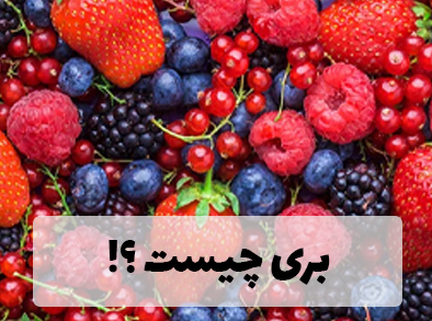 همه چیز درباره بری ها