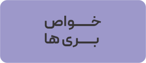 خواص بری ها
