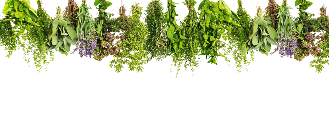 پودر گیاهان دارویی