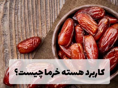 کاربرد هسته خرما چیست؟