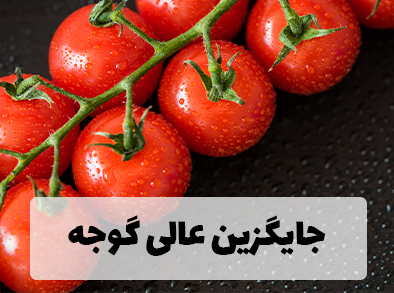 جایگزین عالی گوجه فرنگی