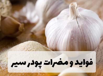 فواید و مضرات پودر سیر