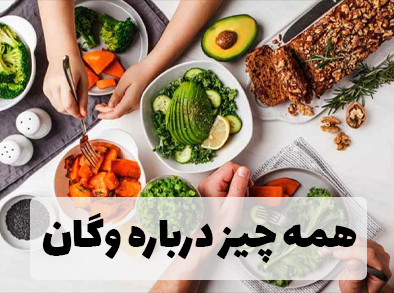 اصول وگانیسم و آشنایی با آن