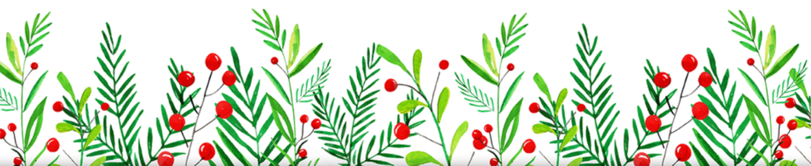 خرید پودر بلوبری