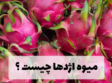 خواص معجزه آسا میوه اژدها